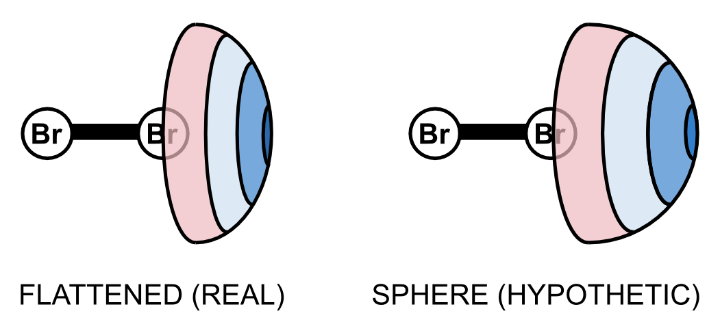 Polar flattening on a dihalogen